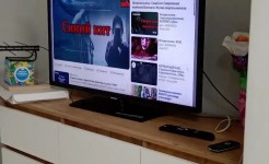День безопасности: «Синие киты» — что важно знать